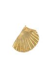 Love Shell Amulet + Necklace
