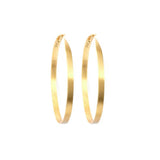 Gold Hoop Earrings Small
